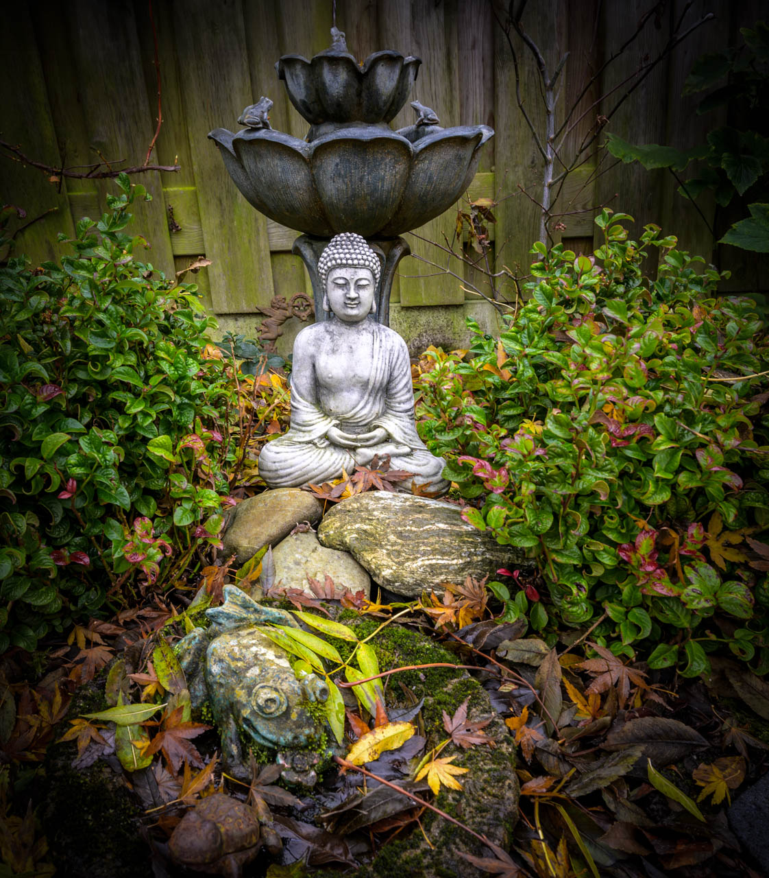 Zen.nl, Zen, meditatie, leren mediteren, foto